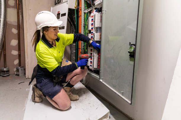 Best Affordable Electrician  in Negaunee, MI